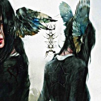 DONT ASK FOR COMFORT WHEN I CAN BEARLY COMFORT MYSELF - X2BLACKSTAR