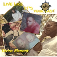 Live Like It's Your Last (feat. Pee Phunk City G) - Single - Divine Element