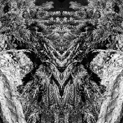 What I Say! - Single