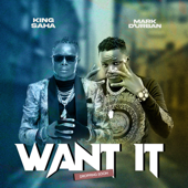 Want It song art