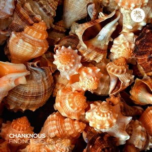 Finding Shells - Single