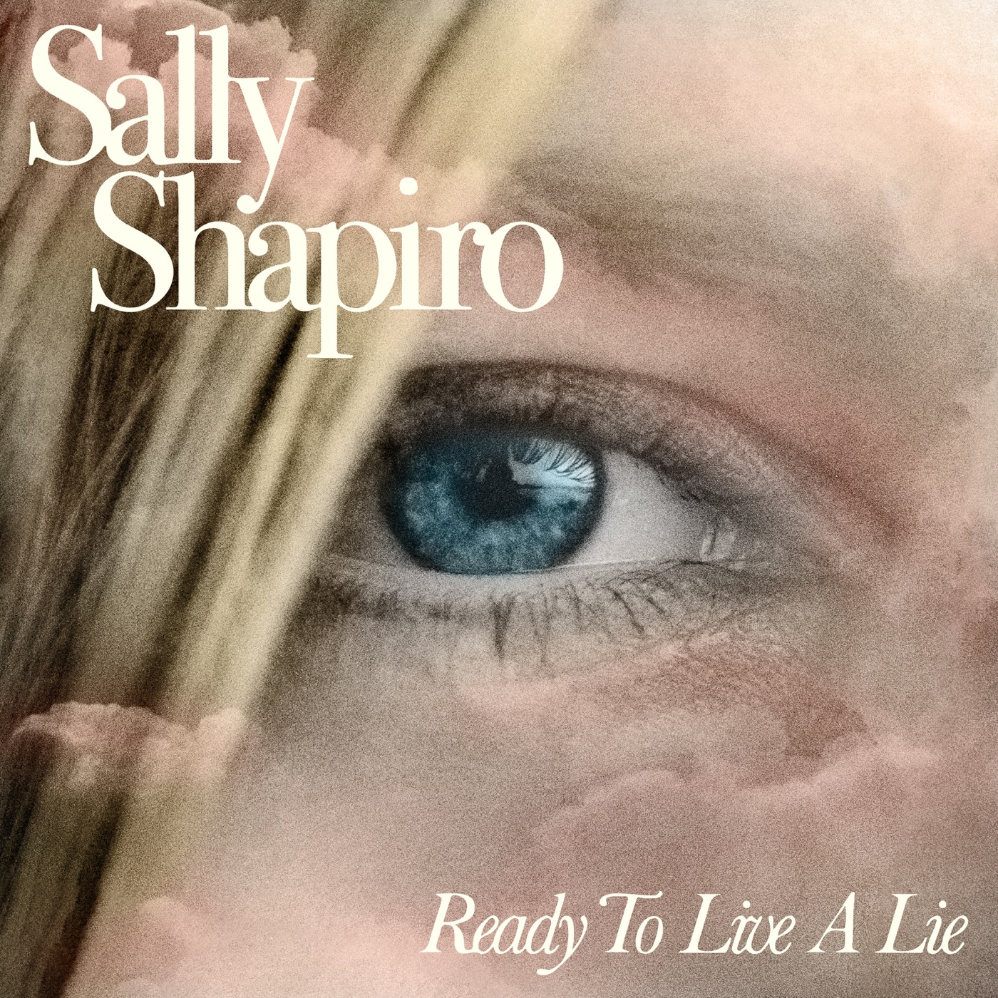 Ready To Live A Lie by Sally Shapiro