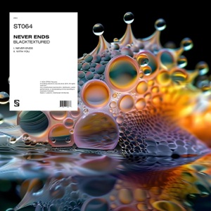 Never Ends - Single