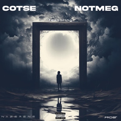 Not Meg (feat. Nazerene & Frost) - Single