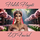 Habibi Hayati artwork