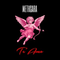 Te Amo (feat. Ghano) - Single - Methsara