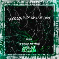 Você Gosta de um Lancinha - Single - DJ Nog, MC DANFLIN & mc vinhas