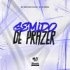 Gemido de Prazer - Single