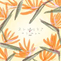 Strelitzia — ayaka