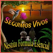 Seguimos Vivos (feat. Tally Prod) artwork