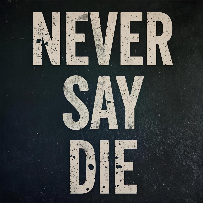 Never Say Die (feat. Fiona Lunney) - Single
