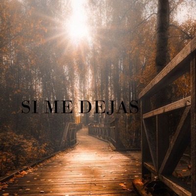 Si me dejas - Single