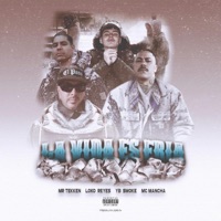 LA VIDA ES FRÍA (feat. Mc.Mancha Gangsta Rap Brazil, Mr. Tekken & Loko Reyes) - Single - YB $MØKE