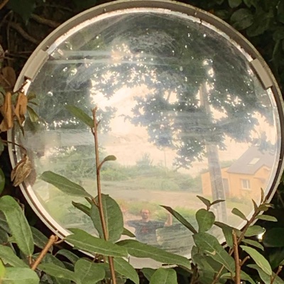 Diálogo de árboles (2013) for 7 instruments - EP