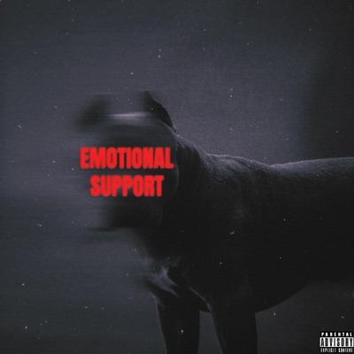 Emotional Support