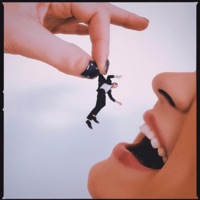 Delusional (feat. Ellzo) [Ellzo Remix] - Single - Masha Vuk