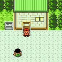 Bug Catching Contest - Single - Pokemon Lofi