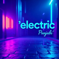 Electric Punjabi (feat. EDM For You) - Single - gtadjar