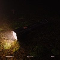 Haunted - Single - BENJAMINRICH & sindr