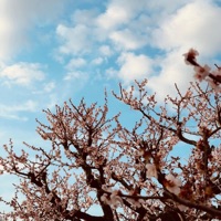 Be Kind To Yourself - Single - Braddah Joe