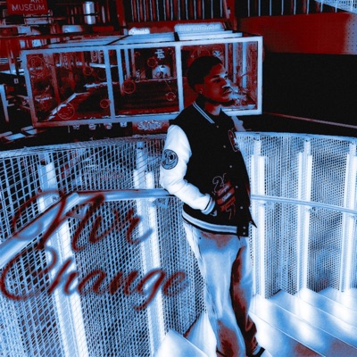 NvrChange - Single