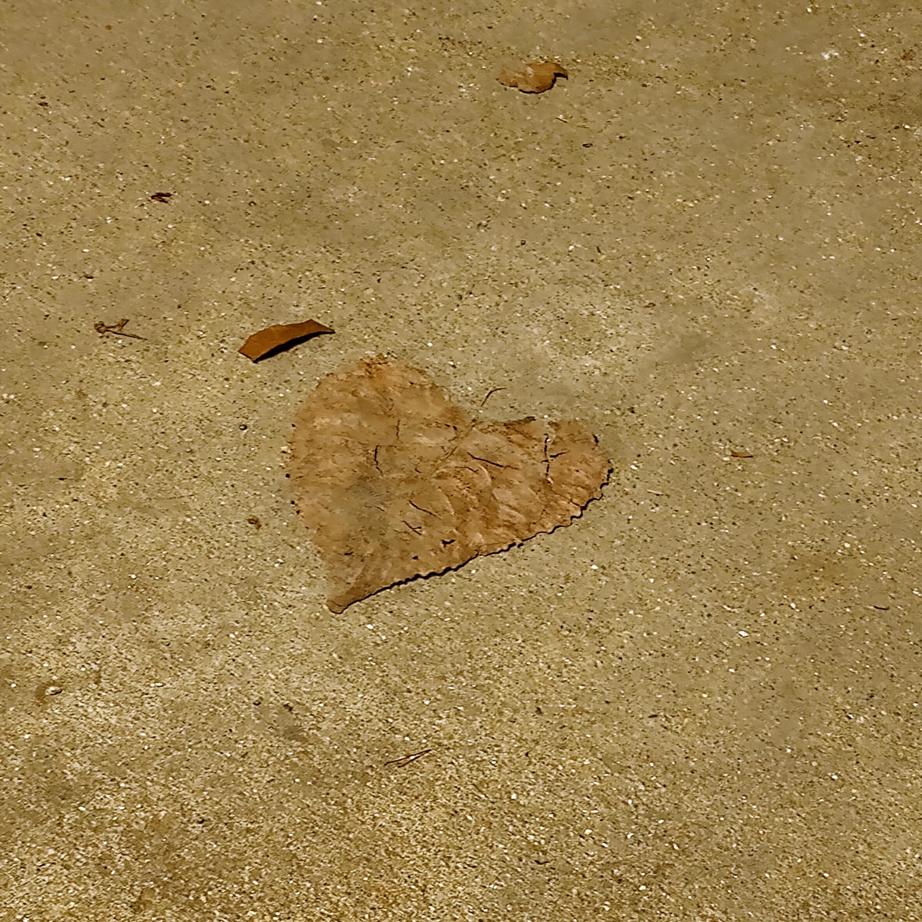 Lopsid Drive 920pm - Single