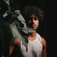 Terra Querida - Single - IVYO