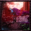 Icon The Market Remix - Single
