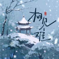 相见难 - Single - Big Cole & 是晚星呀