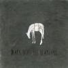 Dark Was the Yearling - The Bones of J.R. Jones