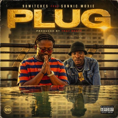 Plug (feat. Sonnic moxie & Traybeatz) - Single