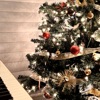 Underneath the tree