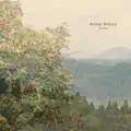 Rowan