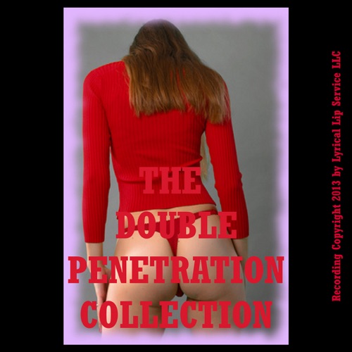 The Double Penetration Collection: Twenty Hardcore Double Team Sex Erotica Stories (Unabridged) cover