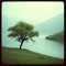 Psalm One (Country Version) - Zorro Records lyrics