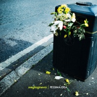 Pessima idea