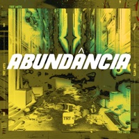 Abundância (feat. DJ BM PROD) - Single - MC Tigrão
