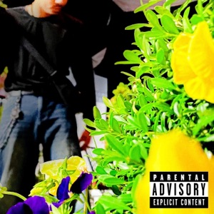 BASELINE-