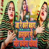 Ja Re Kare Badara Ashuwan Se Mor Kajra Dhowai - Single - Bandana Dubey