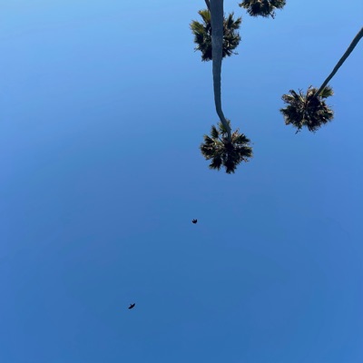 A Different Hand - Single