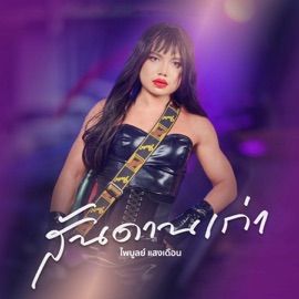 สันดานเก่า ไพบูลย์ แสงเดือน