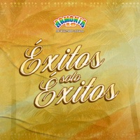 Éxitos Solo Éxitos - Armonía 10