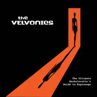 Pop Tart Angel — The Velvonics