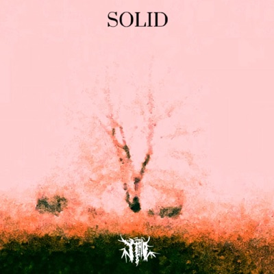 SOLID - Single