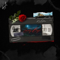 Lonely Boyz (feat. LakeShore Drive) [Radio Edit] - Single - Mr Python