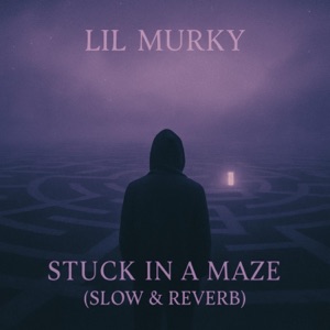 Stuck In A Maze (Slow & Reverb)