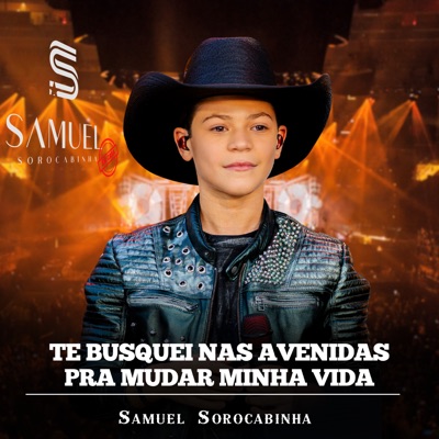 Te Busquei nas Avenidas / Pra Mudar Minha Vida (Ao Vivo) - Single