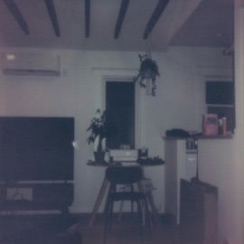 aloft (feat. Ornithology) 96 Zeus