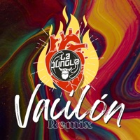 Vacilón (feat. Bad Legs, Pablo Nicasso, Seven G, Bass Master & Prod Kilian Dominguez) [Breaks Remix] - Single - La Jungla Band