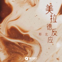 美拉德反应 - Single - 邢北